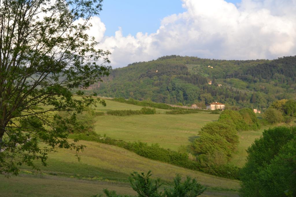 B&B Villa Il Poggiolino Molino del Piano Εξωτερικό φωτογραφία
